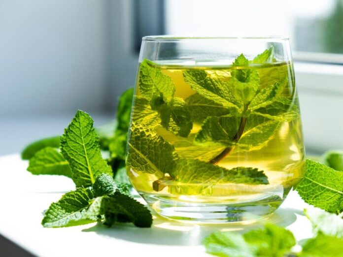 green tea with mint benefits