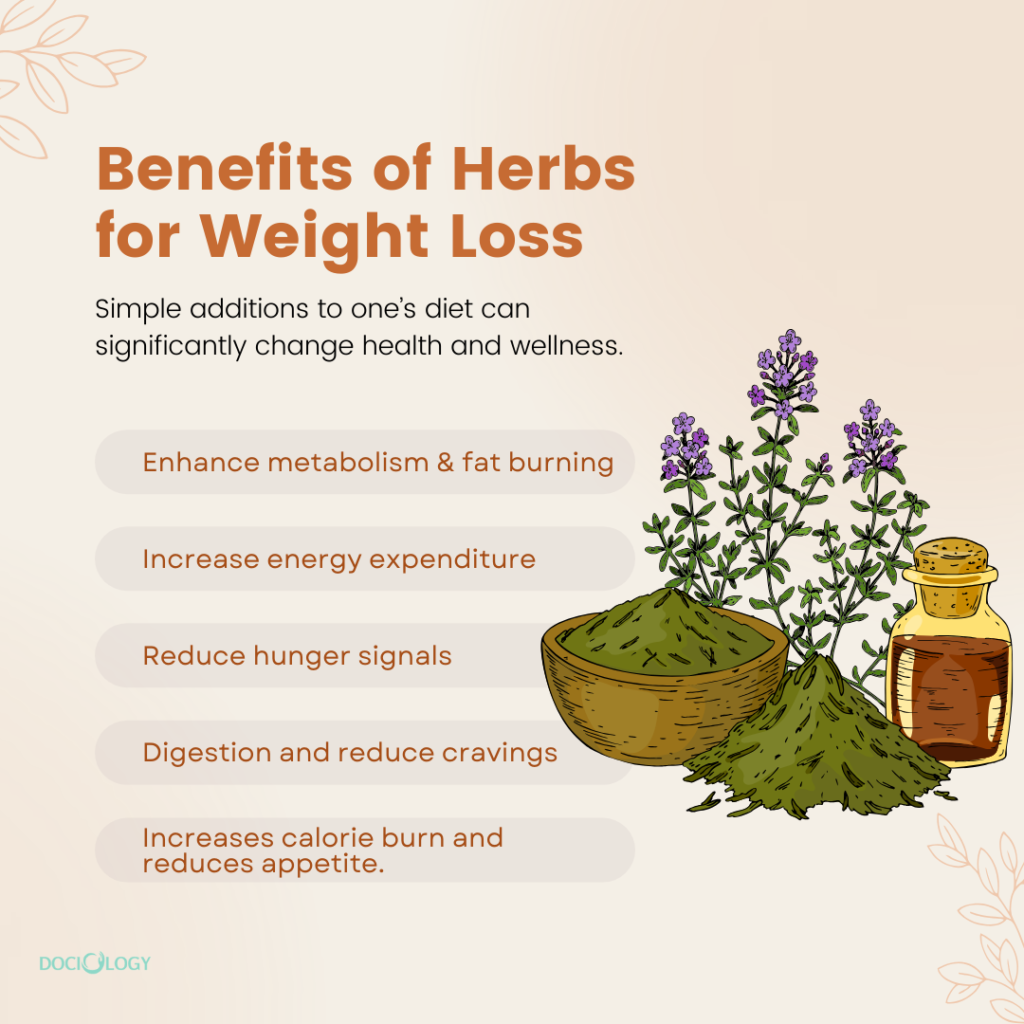 Benefits of Herbs for Weight Loss