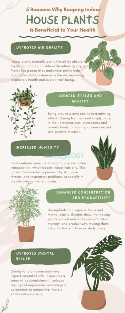 Benefits of Indoor Plants