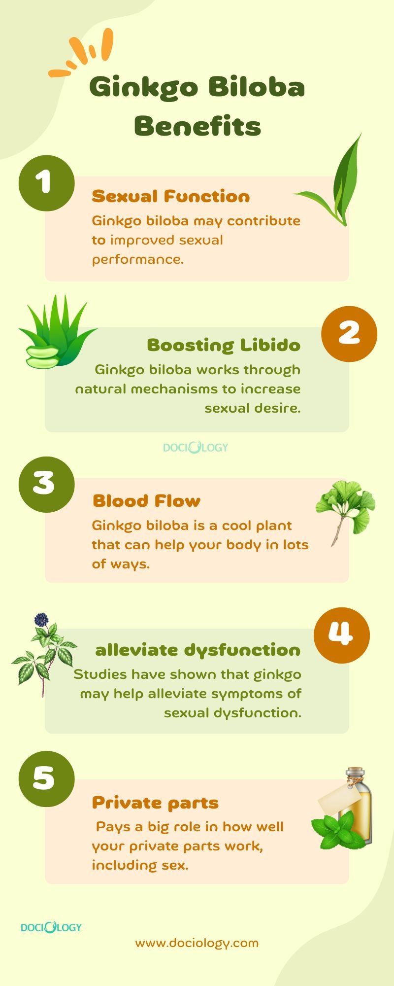 Ginkgo Biloba Benefits