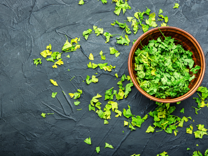 Parsley Benefits for Health